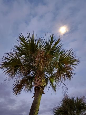 From the front parking lot approximately 7 am looking west seeing the moon. Well lit by the parking lot lights.