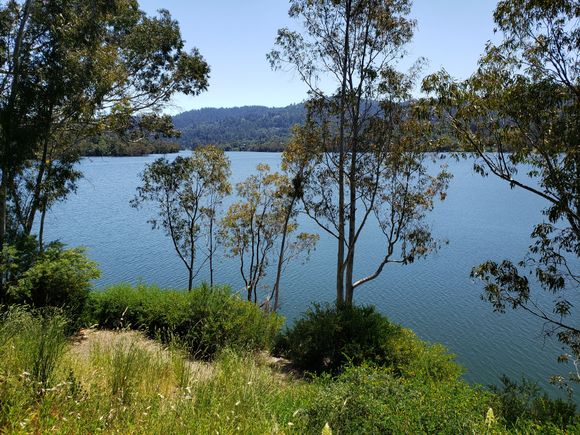 Lexington Reservoir is full. 