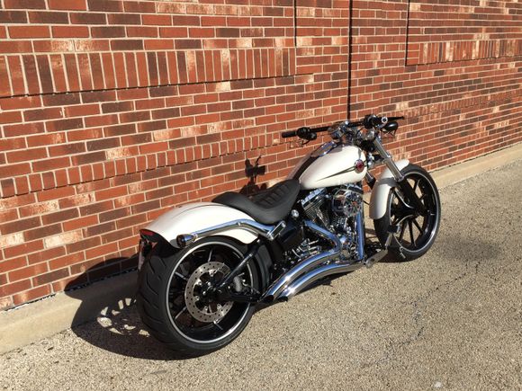 Mustang Fred Kodlin Solo Seat