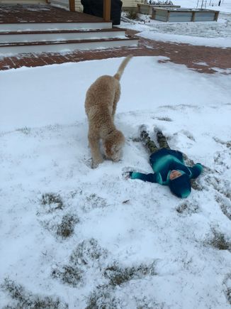 Snow Angel
