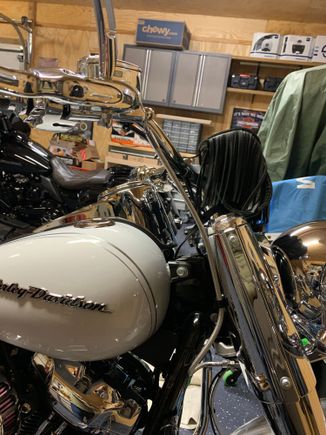 silver braided clutch and brake lines