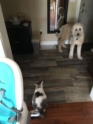 Why won’t that bitch love me?