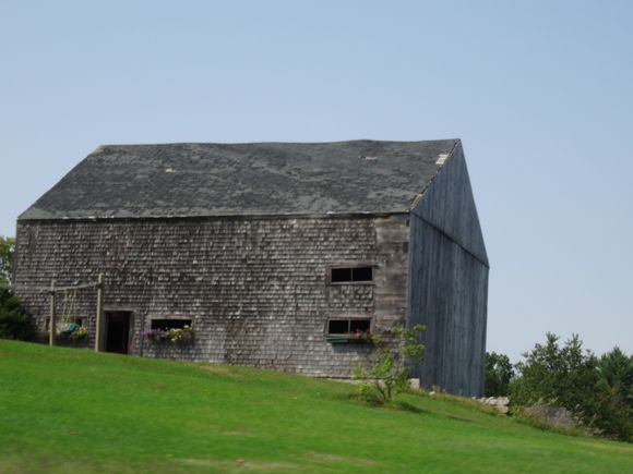 Common site on roads in Vermont