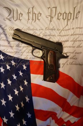 Dan Wesson Guardian .45