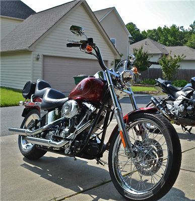 2007 Softail Custom