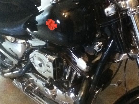 i kept it simple and clean like 86 sturgis.