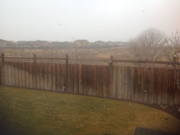 First real snow this year 