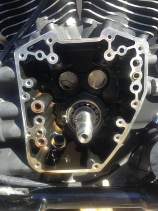 Removed bearings, installing Torrington bearings