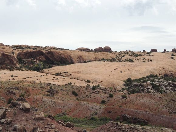 People look like ants walking across the slick rock hill.