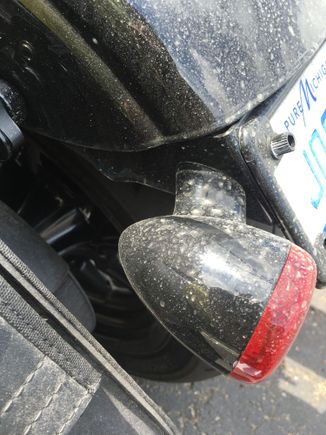 I like how it runs inside the rear of the fender. And excuse me for how dirty the bike is but it rained really bad yesterday and there's no way in hell I'll ever allow rain to stop me from riding.