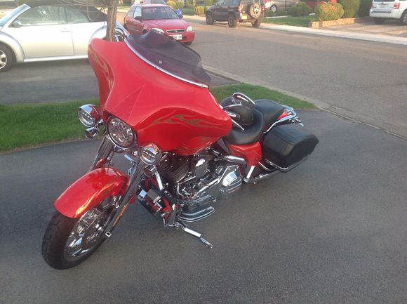 Dragonfly and leather