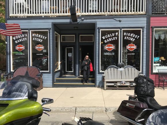 Silverton Harley