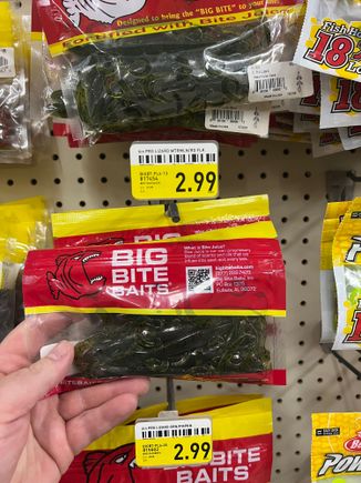 Stopped at ACE to grab some bolts, found some lizards for my upcoming fishing trip, how could I say no?