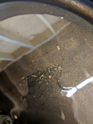 This cam out of the filter, looks like I'm panning for gold
