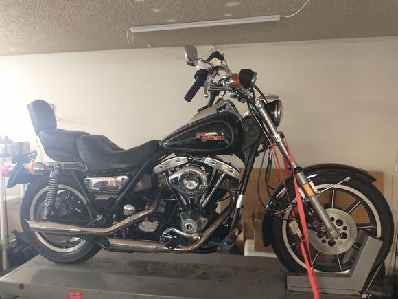 1982 FXRS Low Glide