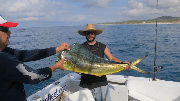 Second day some of us went fishing.  Brad caught a pretty nice dolphin, we had my smaller one for dinner