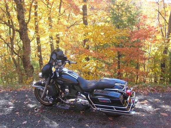 Just stopped to snap a few colors.