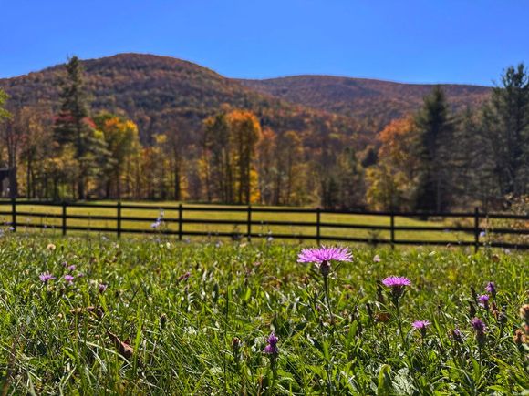 Autumn in the Catskills. 