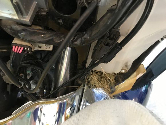 I can see how this would get blown up into the speaker housing