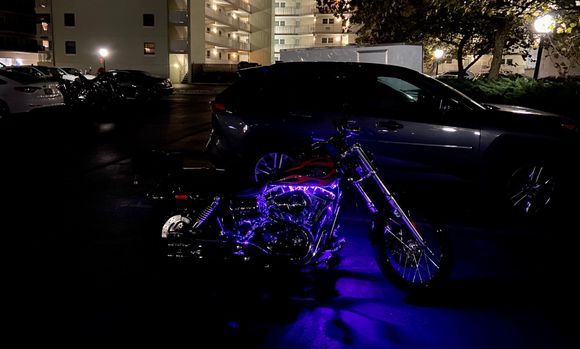Night shot