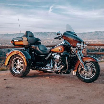 Harley Tri Glide in Tobacco