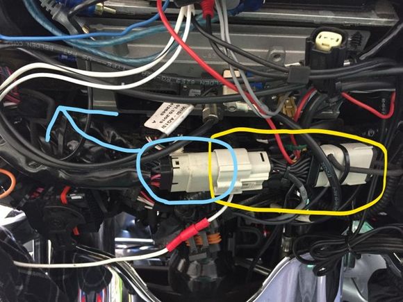 The yellow is the Sierra Adapter Harness for Sena FreeWire to 2014 - 2017 Harley-Davidson Touring Models (not included) that runs from the bat wing to the tour pak.  I lifted the tank and the seat.  The blue is the original Blank plug that was hidden. Caution: there is another grey plug that this will fit into.  The correct plug for the FLHTK is the BLANK plug.