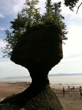 Ocean floor at low tide at the Bay of Fundy