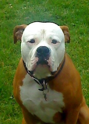 This is his nice face.