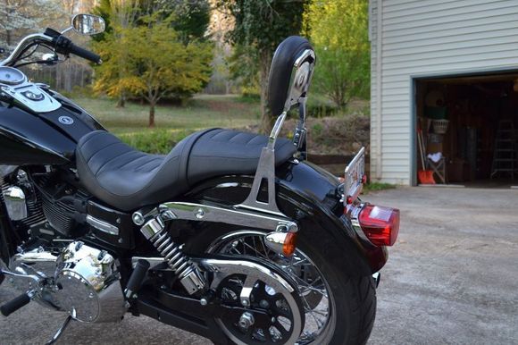 DSC 0017

The sissy bar