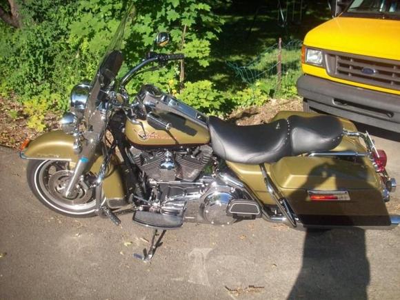 07 flhr 2 olive green and black pearl