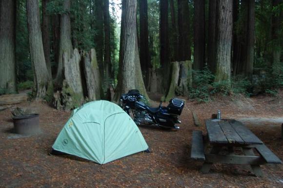 Nor Cal Redwoods Camp