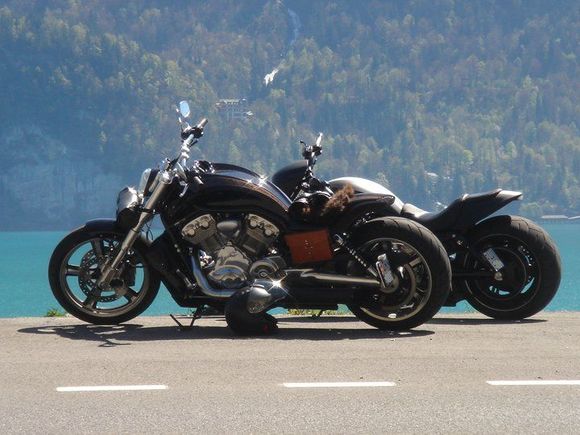 216874 10150161947202557 561612556 6606858 7221927 n