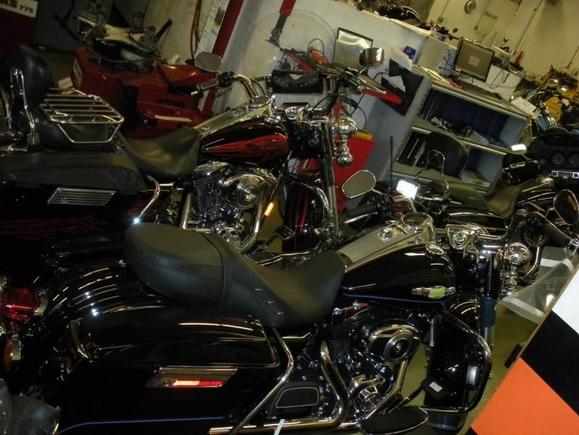2011 FLHR