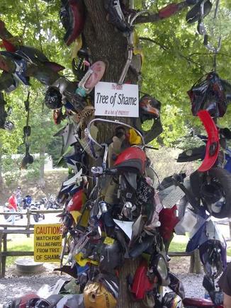 Tree of Shame 1 - Deals Gap