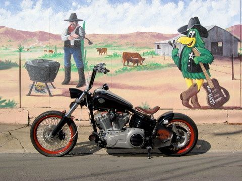 IMG 2628