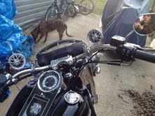My extreme cycle radio(in my handbar bag) with chrome speakers, my windshield, my GPS mount , and diamond ice fuel gauge   Speedo Ring   fuel cap