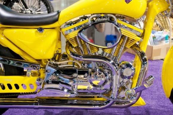 phoca thumb l georg colvin reinbikenated sportster 011