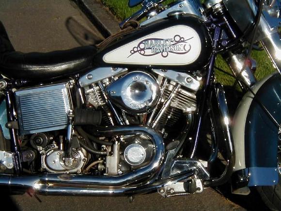 1981 Shovel Restore