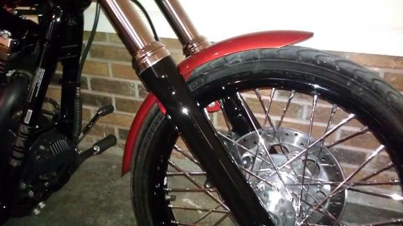 IMAG0533 painted fork legs