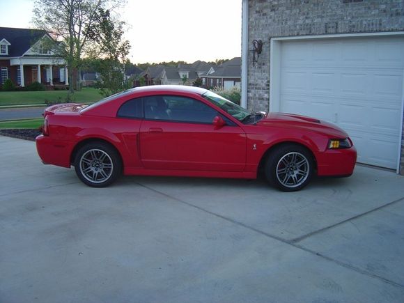 2003 Cobra