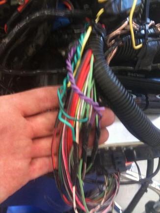 Radio harness, speaker wires hooked up.