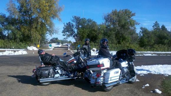 2013 10 06 Rotten sow