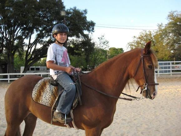 Son Ryan on Kidd..it's a Registered Walker