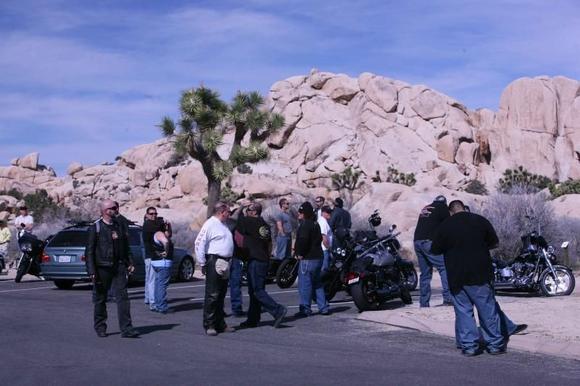 IMG 7867 01
One stop in Joshua Tree