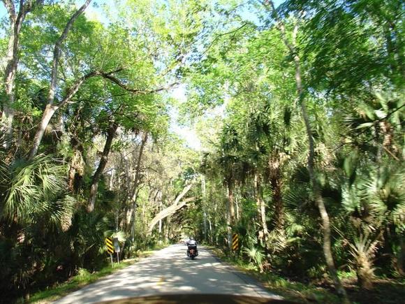 DSC00784
A scenic highway