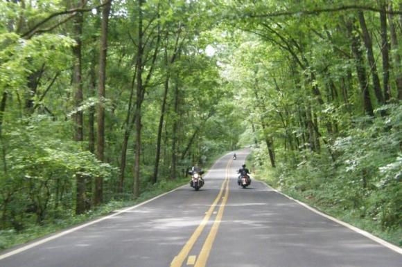 Pig Trail Scenic highway.
Hwy 23 is 30 miles of twist and turns. It has been written up in several magazines as Arkansas's best road.