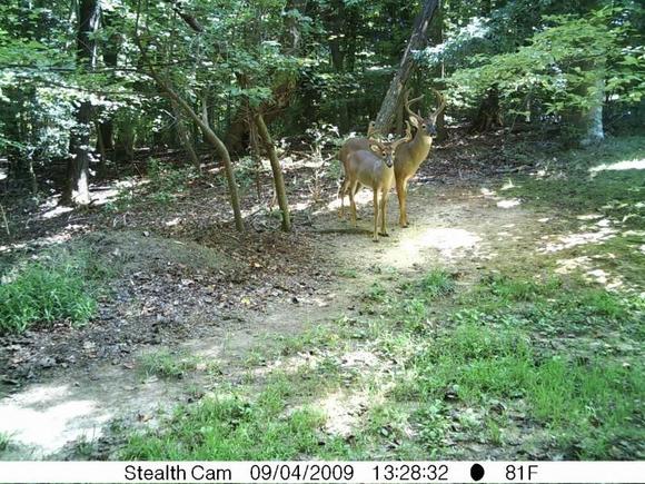 PICT0346  Look at the body size difference