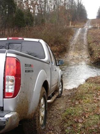 NISMO at creek (Large)