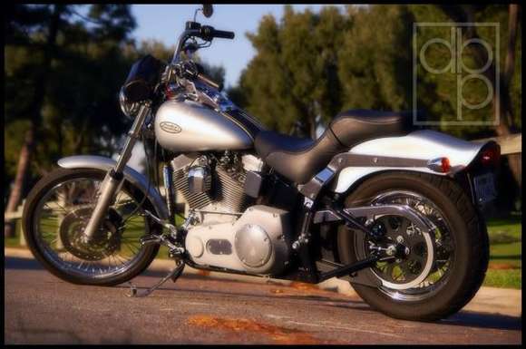 Mi Ole Softail before she was made into Frankenstein's wife.