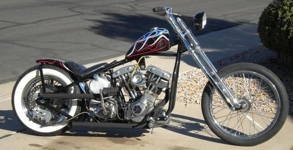SPRINGER6